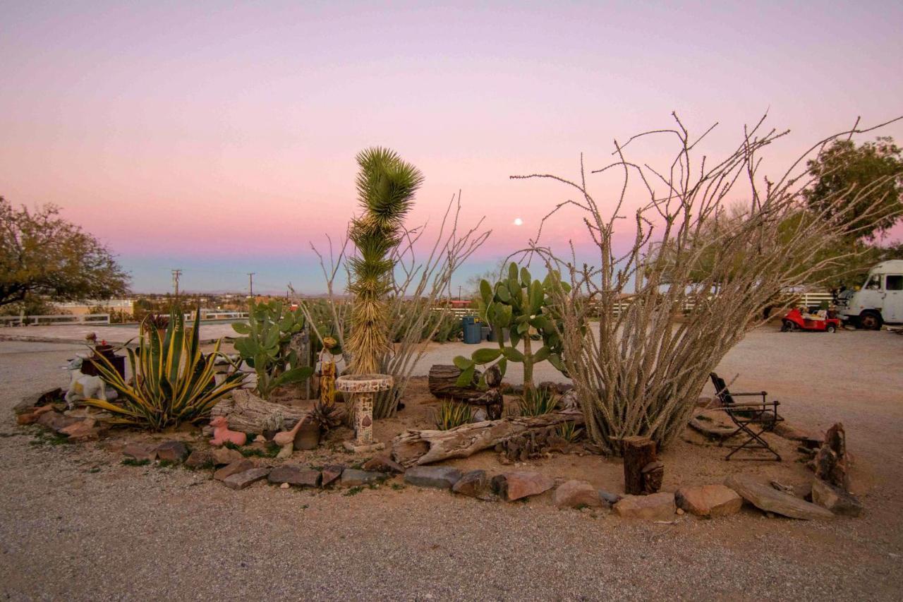 Joshua Tree Ranch House Motel Ngoại thất bức ảnh